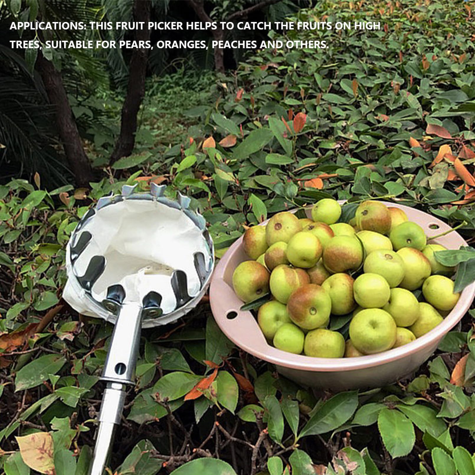 Teleskop-Obstpflücker mit 5 m Stange, 16 cm Korb, rutschfester Griff für einfache Ernte von Äpfeln, Birnen, Zitronen, Orangen – Obstpflückwerkzeug für den Garten