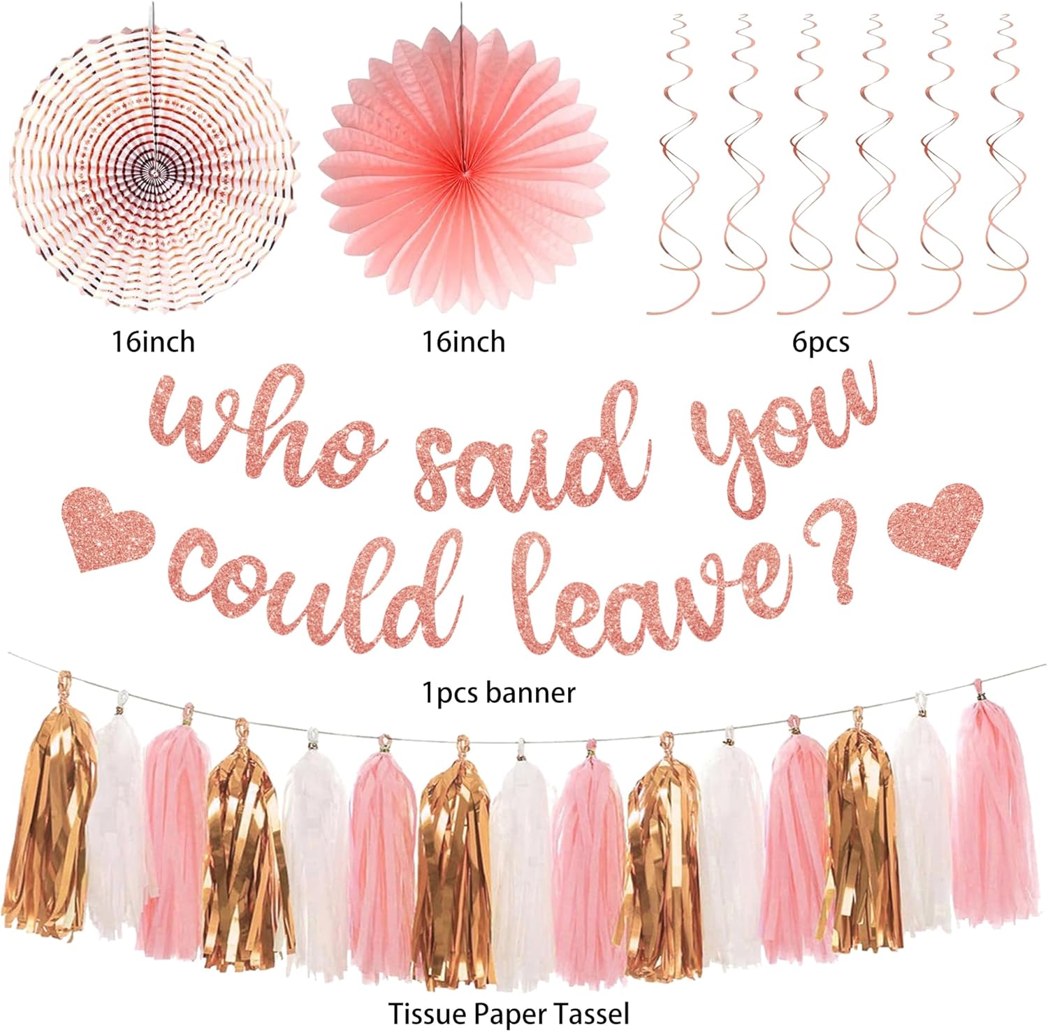 Roetyce Farewell Party Decorations Women, Pink Glitter Who Said You Could Leave Banner, Rose Gold Going Away Leaving Goodbye Party Supplies for Coworker Friends, Retirement Photo Background Decor
