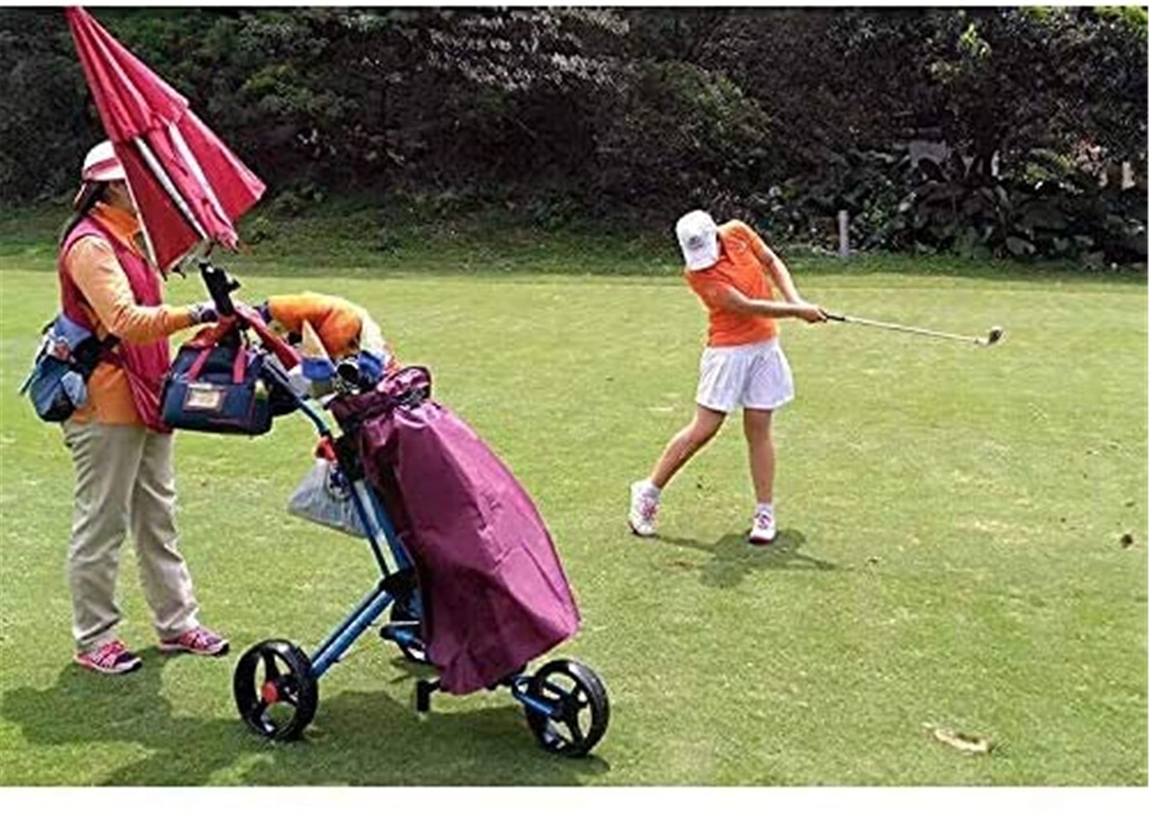 Carrito de Golf Carritos de Golf y carros de Golf Carrito de Golf de 3 Ruedas Plegable Duradero/portavasos Tres Ruedas giratorias con Accesorio de Sistema de Freno de pie
