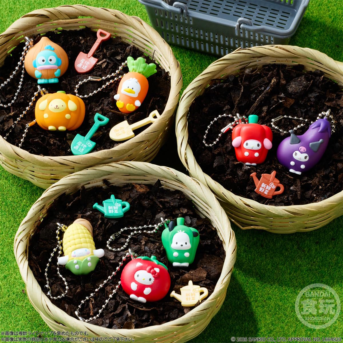 moon レジーム スモールチキン2袋ベジビスブルーベリー＆ササミクランチ Amazon | バンダイ(BANDAI) サンリオキャラクターズ ベジタブル