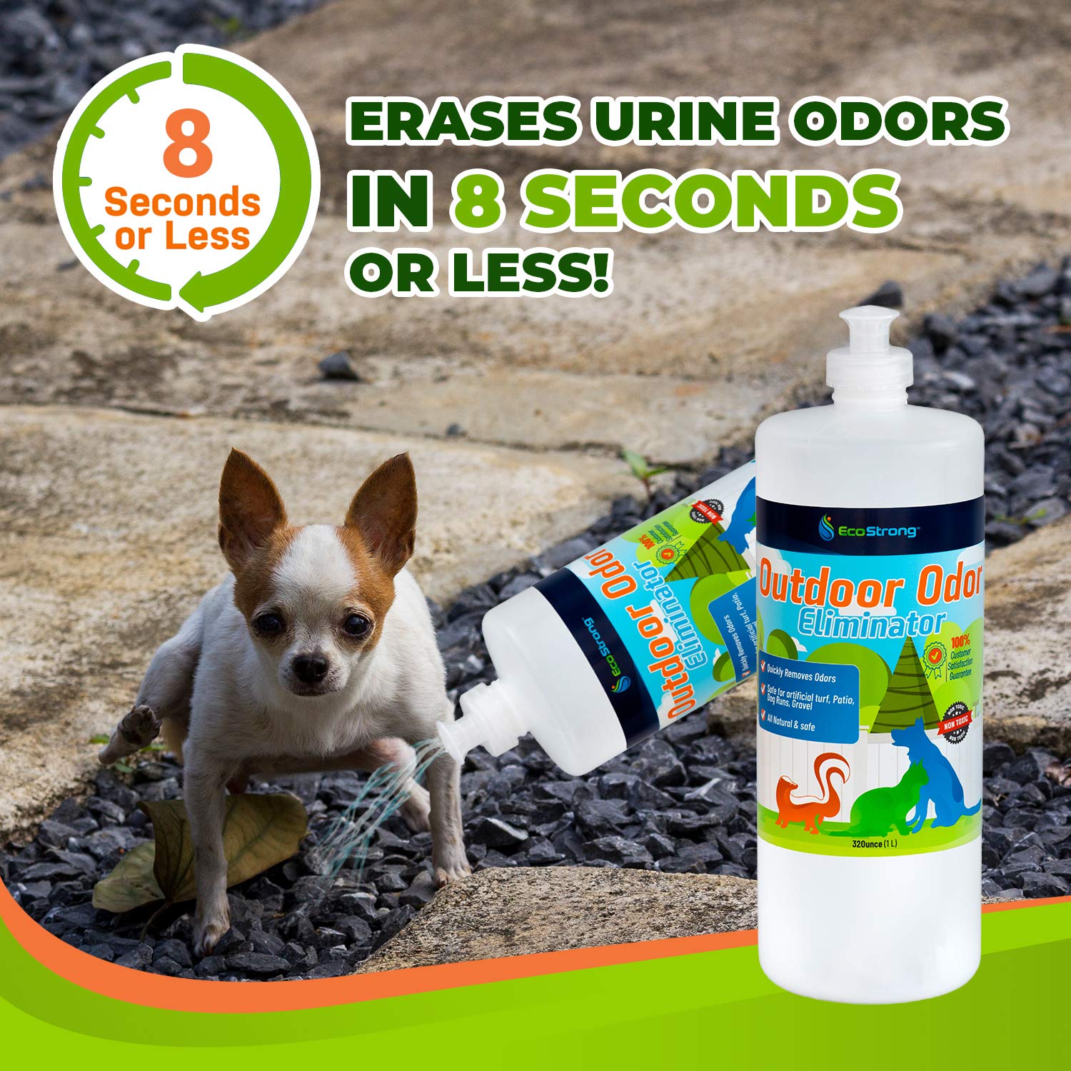 Why Does Dog Urine Smell So Bad