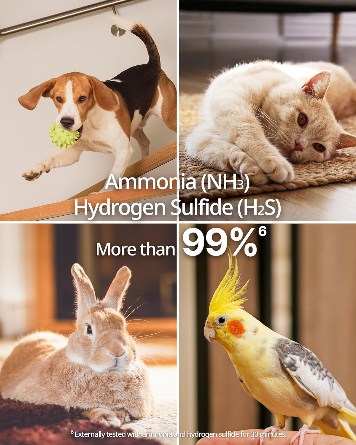 COWAY Airmega AP-1512HH & 200M Filter Replacement Set, HEPA Filter and Pet Filter, AP-1512HH-FP Pet, 3117062 - Image 3