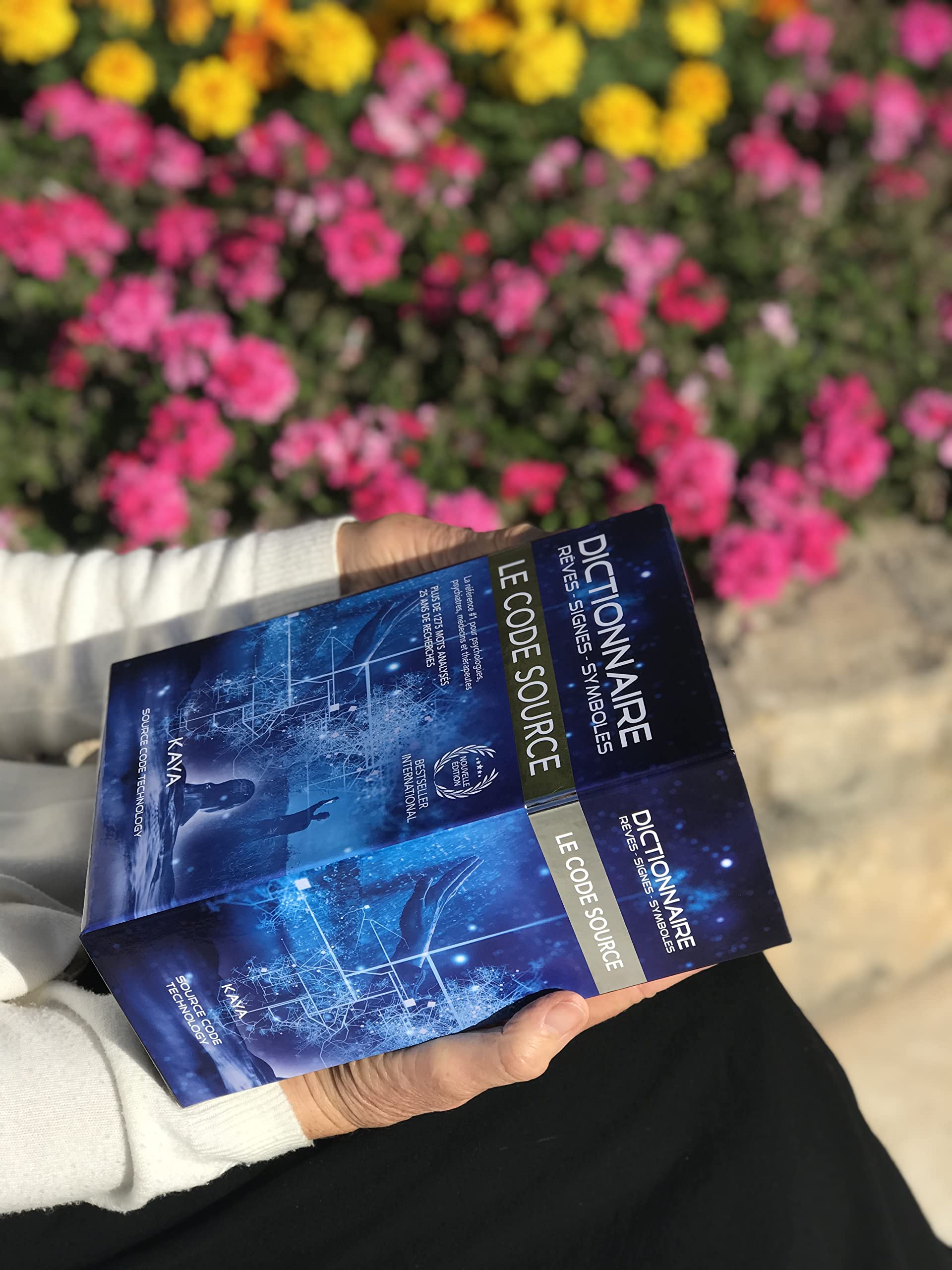 Dictionnaire, Le Code Source, Rêves-Signes-Symboles (Version révisée et augmentée)