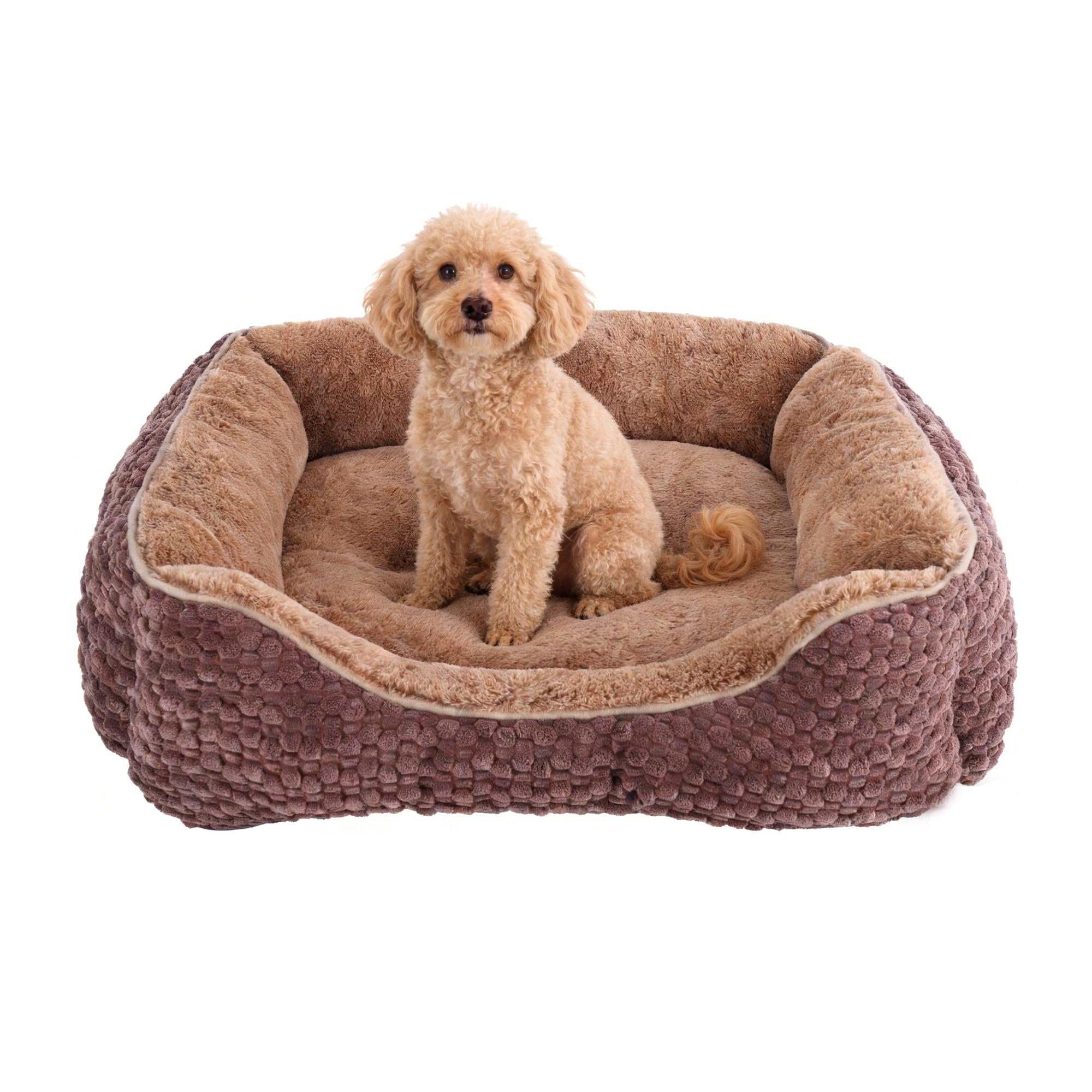 GOBOBE Plush Dog Bed Small, Brown, Machine Washable, Dog Beds Sofa With Pillow Support, 51x48x15cm, Corn Kernel Design, Non-slip Bottom, Thick PP Cotton Padding
