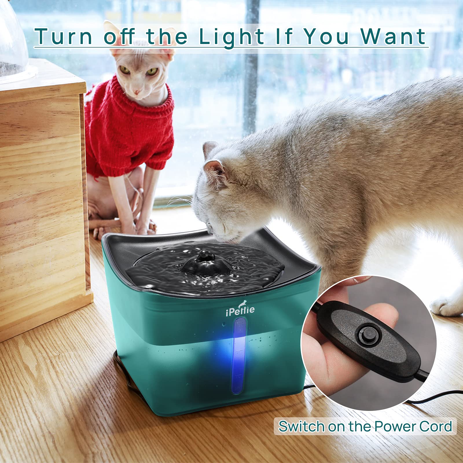 Buy ZEUS Fresh & Clear Elevated Dog and Cat Water Dispenser, Large