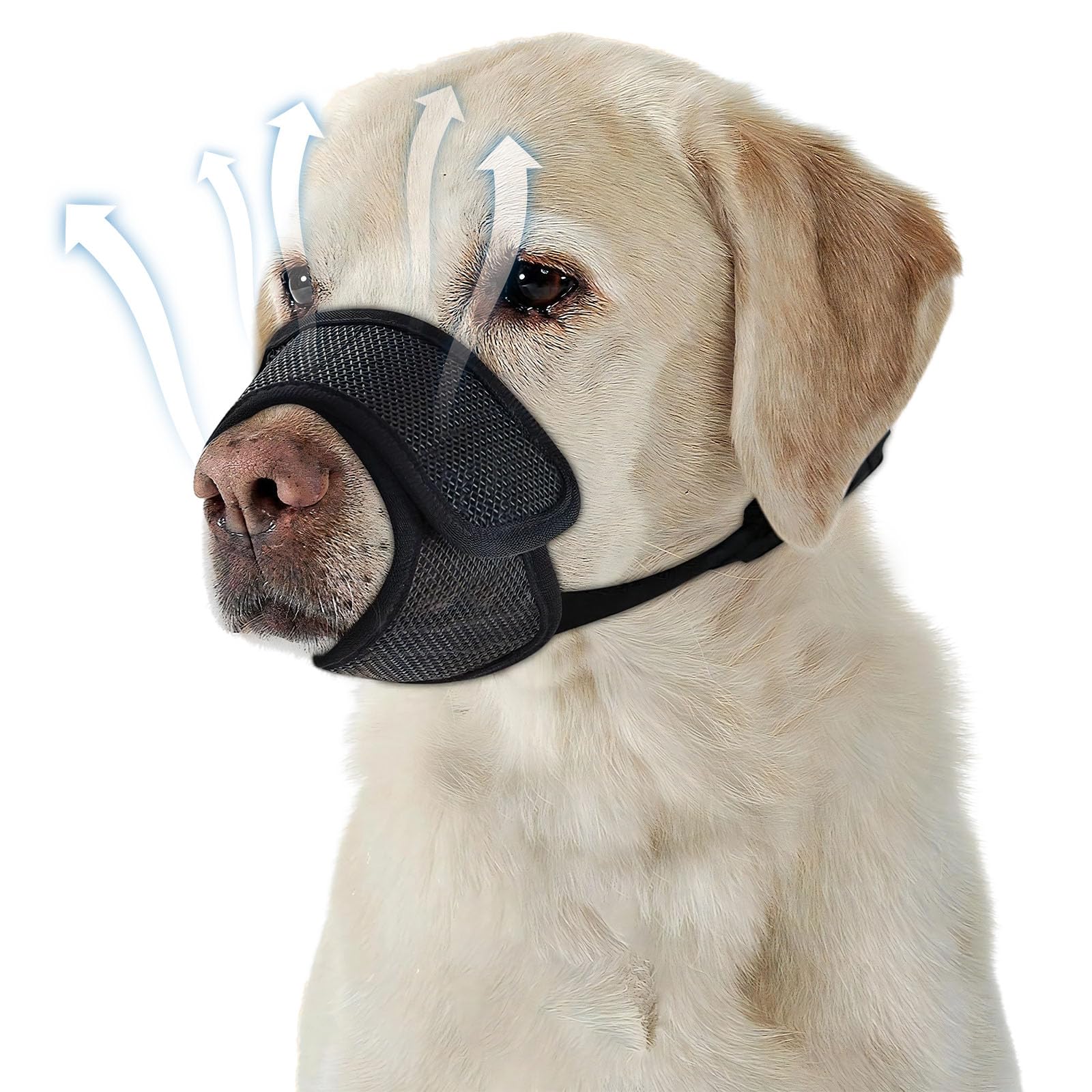 DOINEUFL Dog Muzzle
