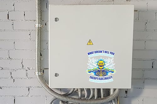 Miniatura 3 de WSQ Paquete de 2 calcomanías de vinilo con texto en inglés «What Doesn't Kill You Only Makes You Stronger Except Electricity», 4 pulgadas,