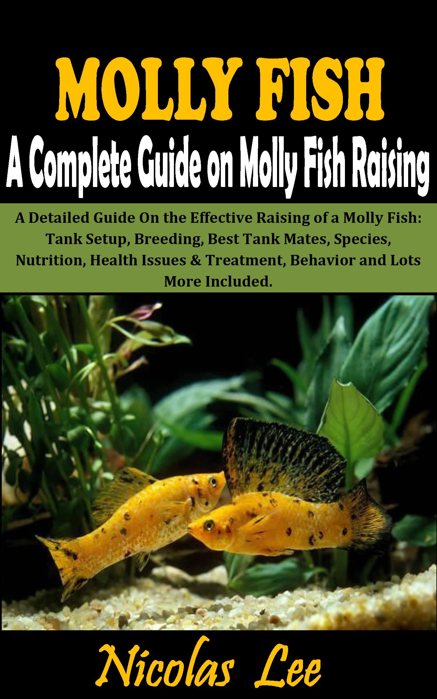Buy MOLLY FISH A Complete Guide to Molly Fish Raising A Detailed Guide