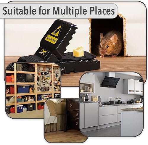 Miniatura 9 de Mr. Pen - Trampas para ratones, paquete de 3, trampas para ratones, trampas para ratones para casa en interiores y exteriores, trampas para ratones