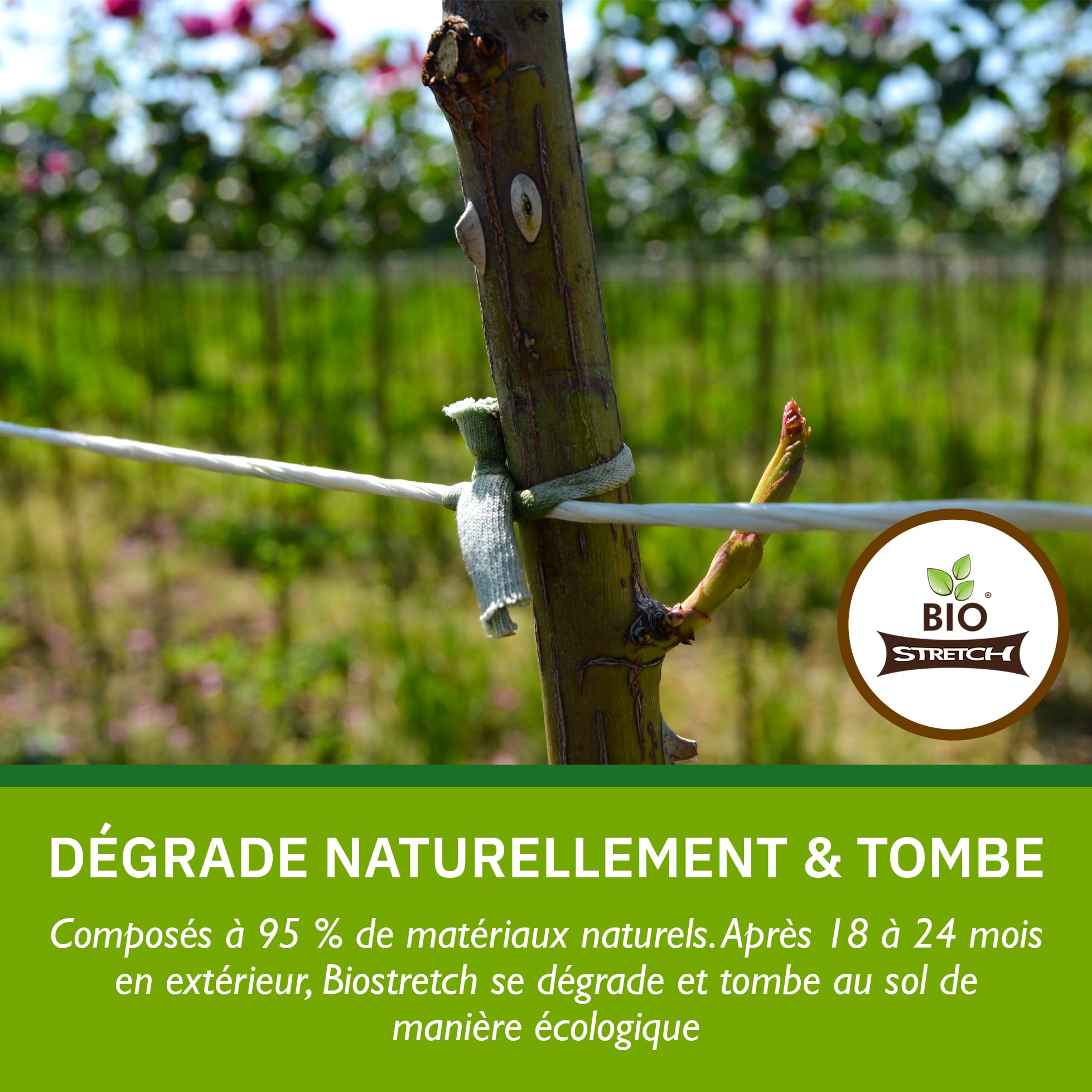 Bio-Stretch Liens de Jardin Souples pour Plantes d’Intérieur et d’Extérieur – Résistants et Extensibles, Ficelle Découpable pour Plantes Grimpantes, Tomates et Jardinage à Domicile (40m / Vert)