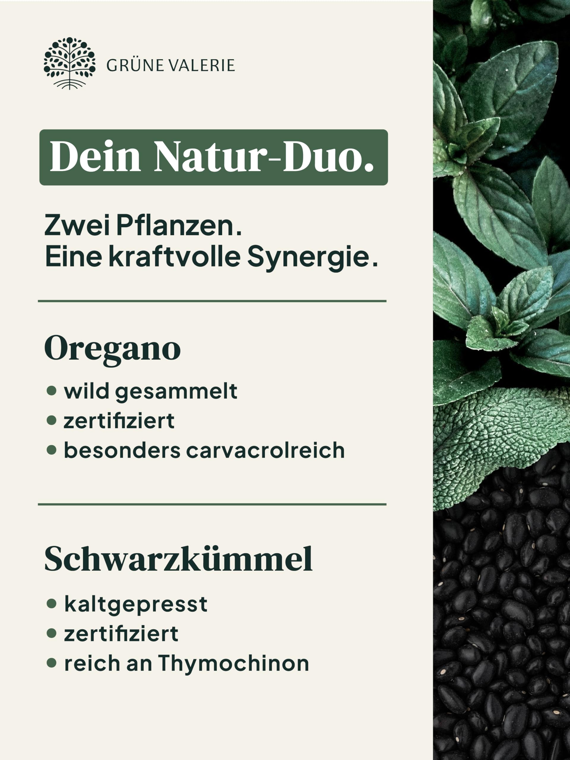 GRÜNE VALERIE® Oregano Öl Kapseln [HOCHDOSIERT] – DuoKomplex mit Schwarzkümmelöl 90 Stück – 82% Carvacrol Wildes Berg Oreganoöl – 500mg Kapseln vegan & magensaftresistent – laborgeprüft & ohne Zusätze