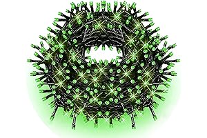 Fullbell 33FT 100 LED Green String Lights