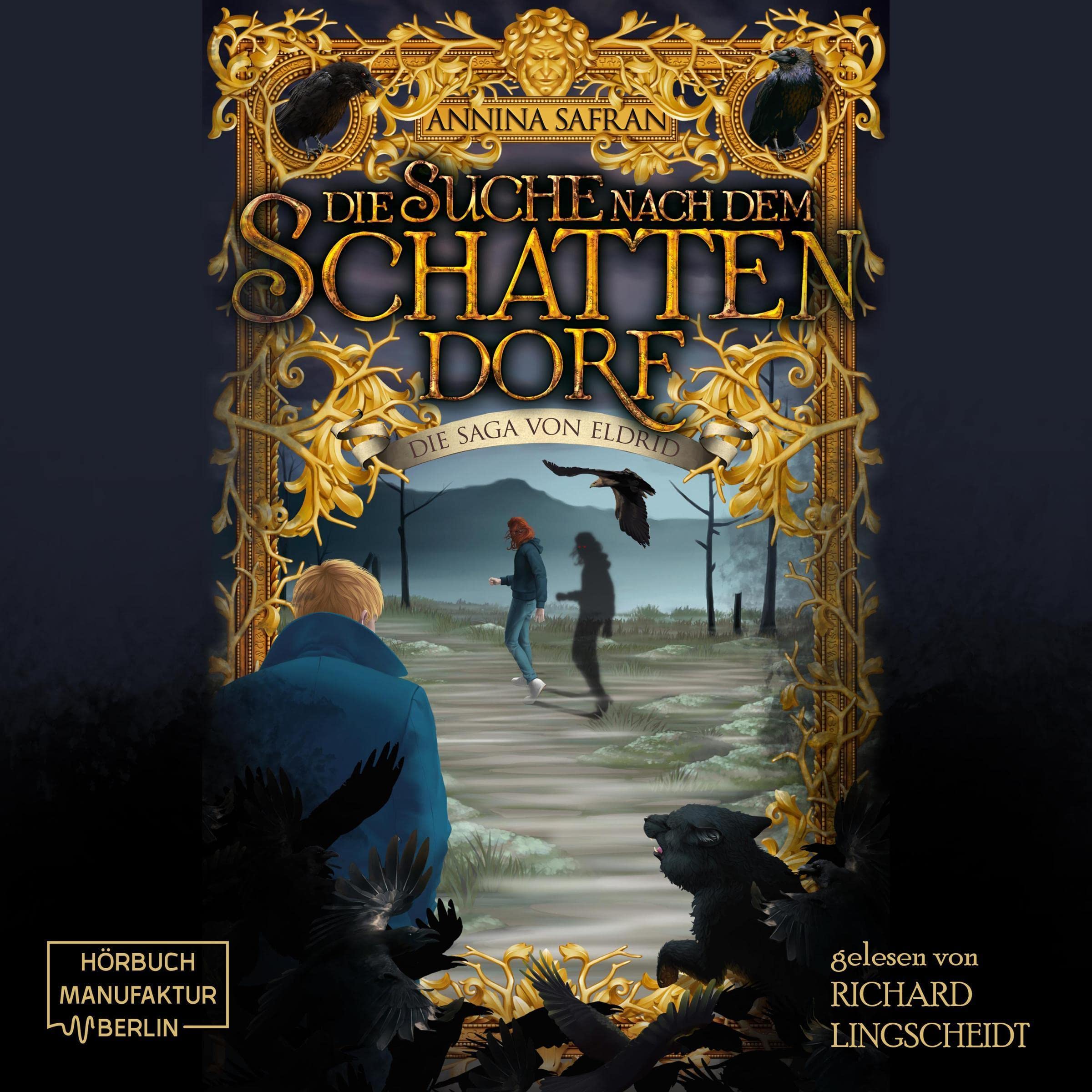 Cover art for Die Suche nach dem Schattendorf