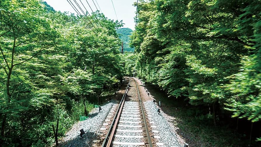 Amazon.co.jp: 青もみじと紅葉の叡山電鉄 全線 出町柳~鞍馬