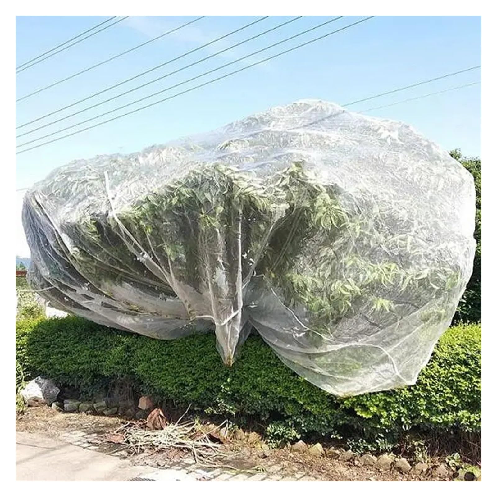 anti bird netting 60 Mesh Cover Protect Plant Shrub Nylon Anti Bird Netting Protection Net For Fruit Crop Tree for Pond Fruit Protection(4mX7m)