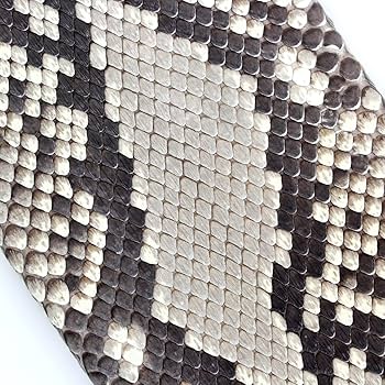 【美品】三線 蛇本革 ケース付き 美品】三線 蛇本革 ケース付き Amazon.co.jp: [GUODI] パイソン