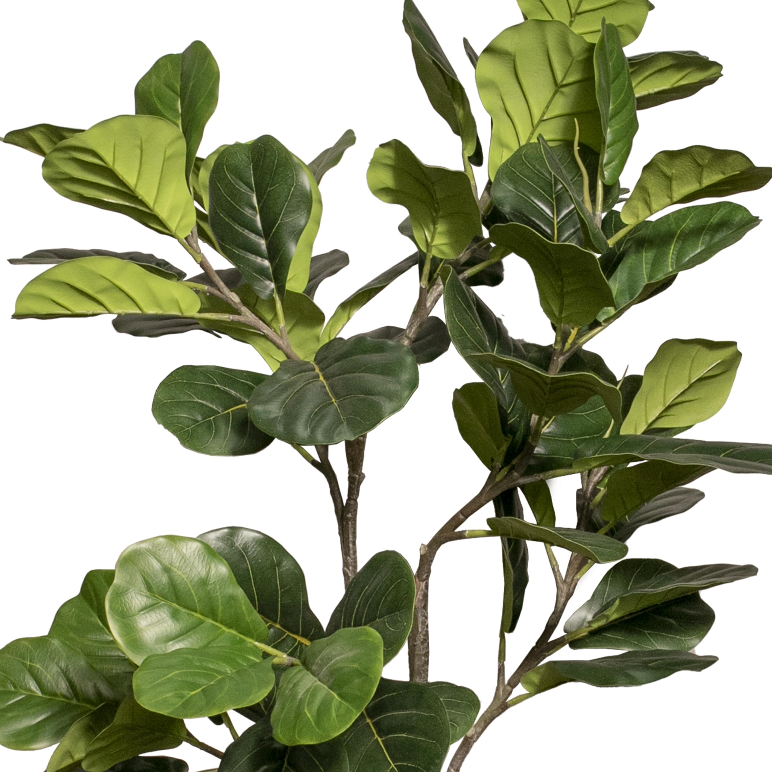 Milk‐tree♡ Amazon.com: Vintage Home Artificial Faux Fig Tree 73