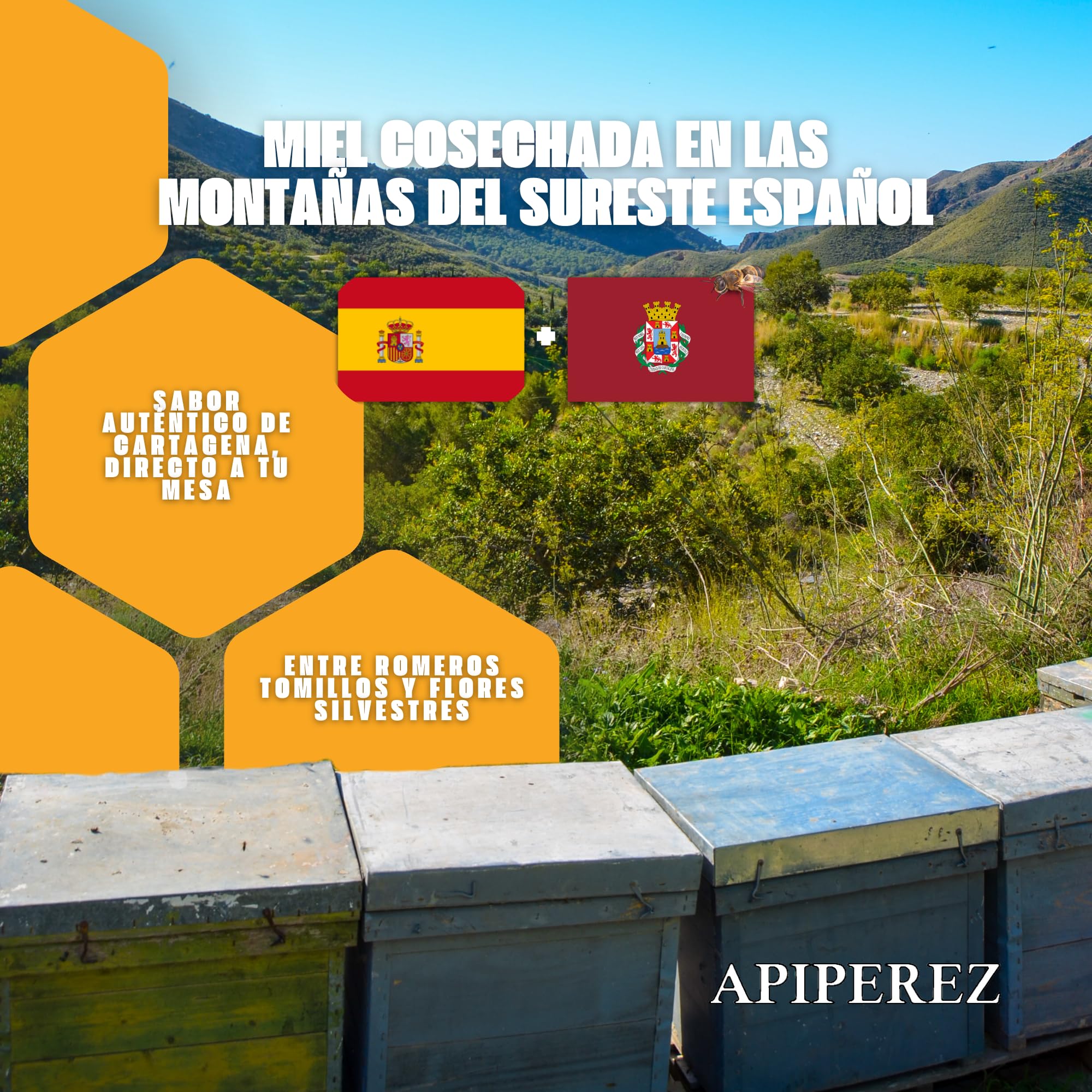 APIPEREZ Miel Cruda de Monte 1 kg – Miel Natural de Mielato, Antioxidante y Antimicrobiana – Sabor Intenso y Color Ámbar Oscuro