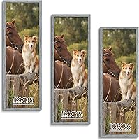 Vista 45 de Dark Brown 12x18 Frame Set of 3 - Rustic Woodgrain 12 x 18 Poster Frame with Plexiglass for Wall Gallery Display, 12x18 Picture Frame for Puzzles