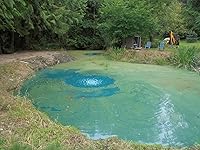 Review Image by WHD WHD