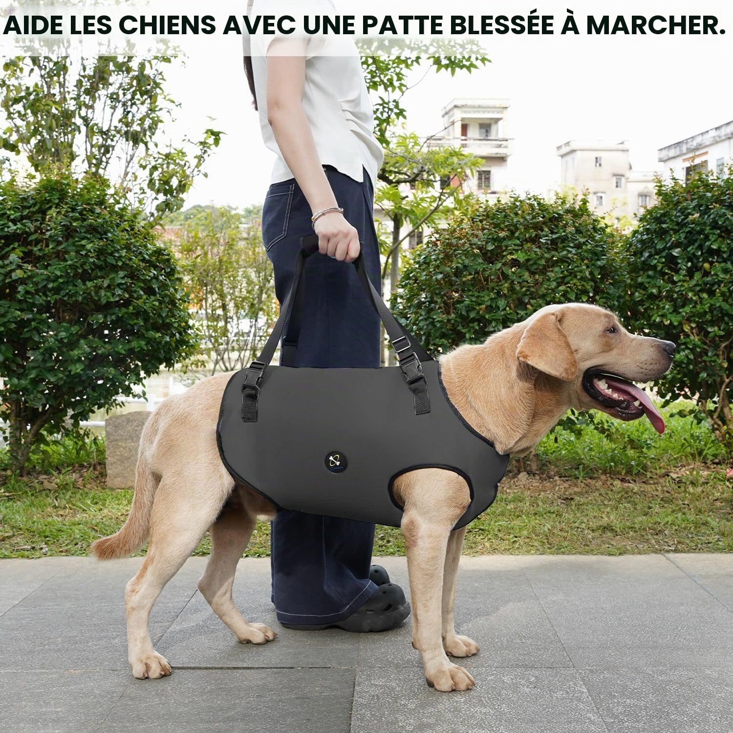 Coodeo Harnais de Levage pour Chien, Sangles Ajustables et Rembourrées, Support Respirant pour Chiens Âgés, Handicapés, Blessures Articulaires, Arthrite, Perte de Stabilité (Gris, XS)