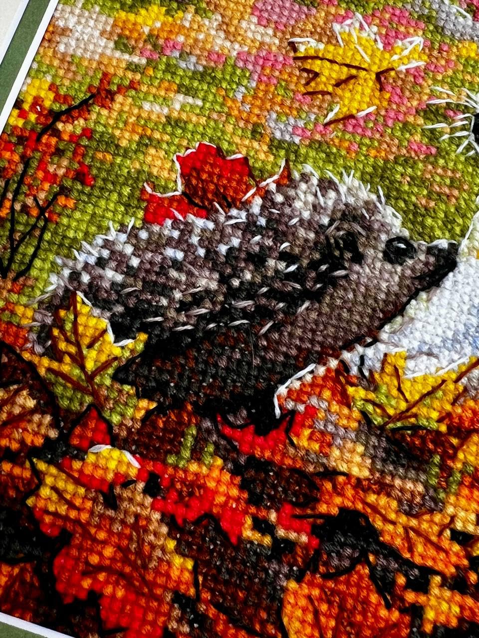 RIOLIS - Incontro nella foresta 2303, Cane Punto croce 21x30cm, Punto croce kit da ricamare, Disegni da ricamare, Embroidery kit, Animali Kit ricamo punto croce