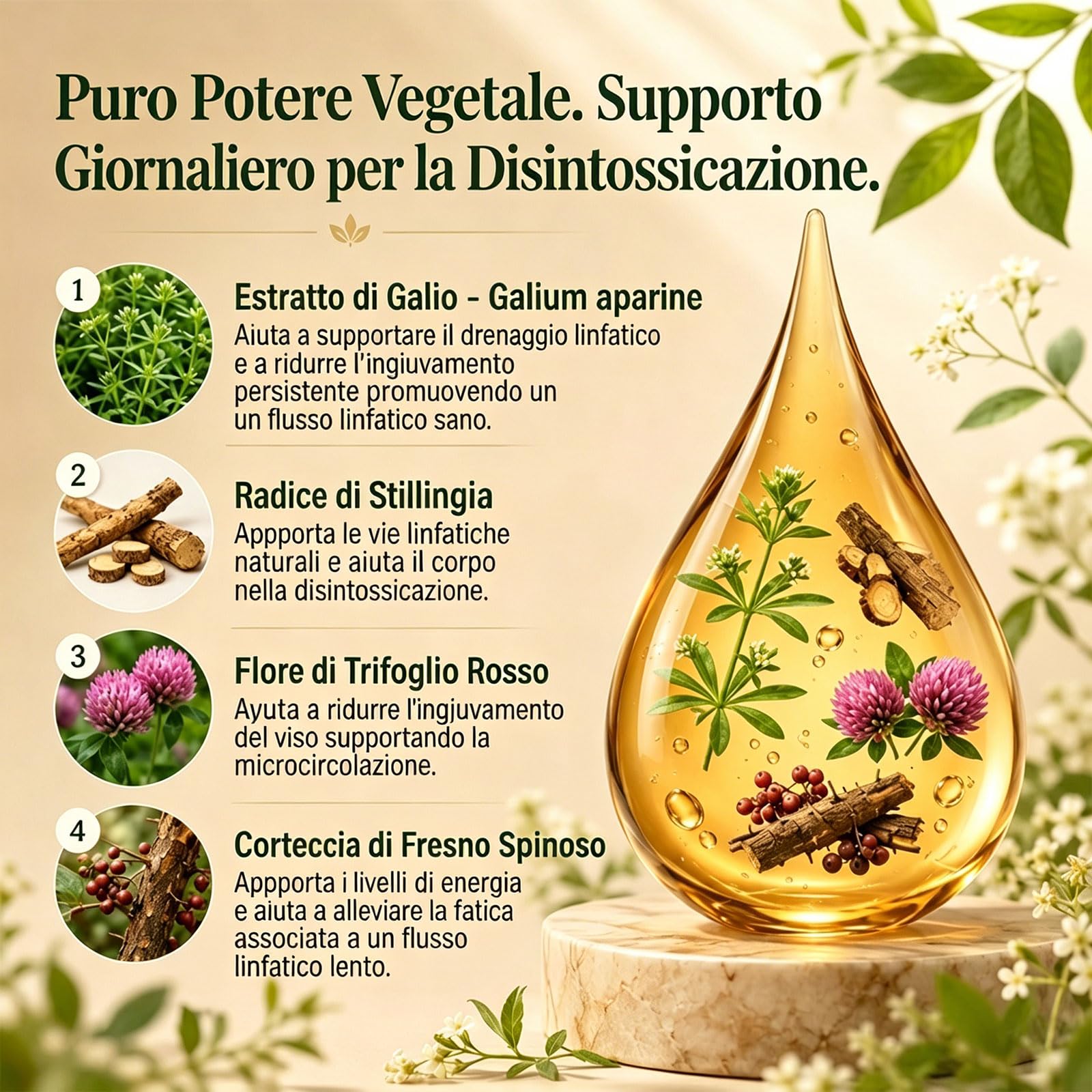 Erlona Drenaggio Linfatico Gocce, Gocce di Benessere peril Drenante Linfatico, Formula Erboristica Naturale, Adatte per Donne e Uomini (1)