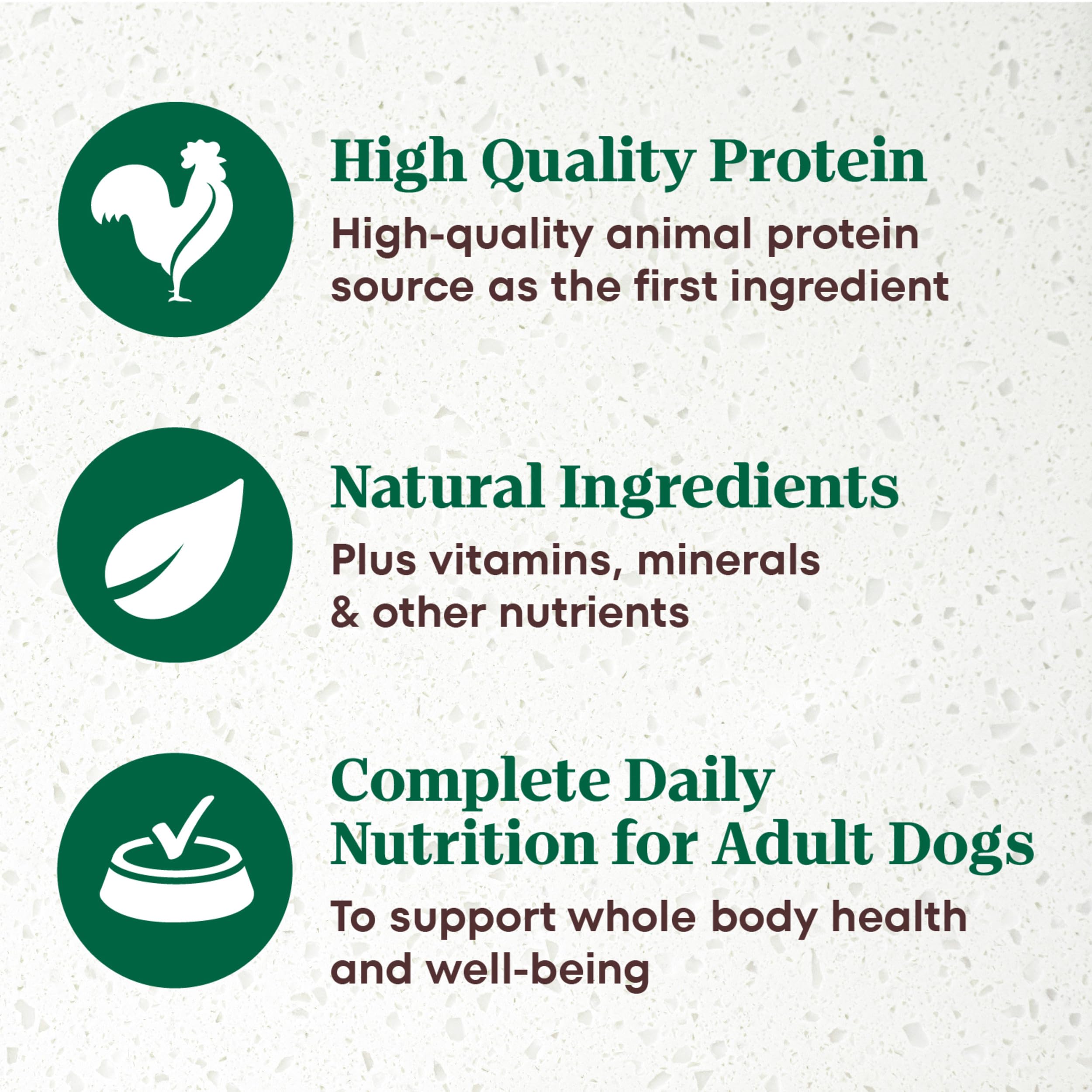 Nutro Ultra Wet Dog Food Pate with Food Toppers for Dogs, Chicken Entree,  3.5 oz. Trays (24 Count, Pack of 1): Pet Supplies: Amazon.com