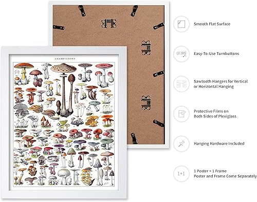 Miniatura 171 de Poster Master Póster vintage de orquídea, estampado de flores retro, arte de pared de plantas exóticas, arte botánico, regalo para hombres y