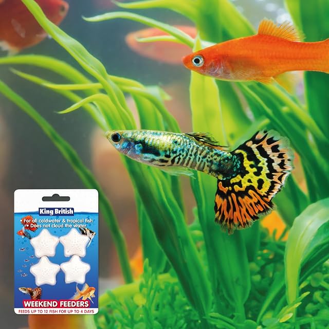 Foto 7 de 7 de King British Comederos de fin de semana, paquete de 4, para agua fría y peces tropicales