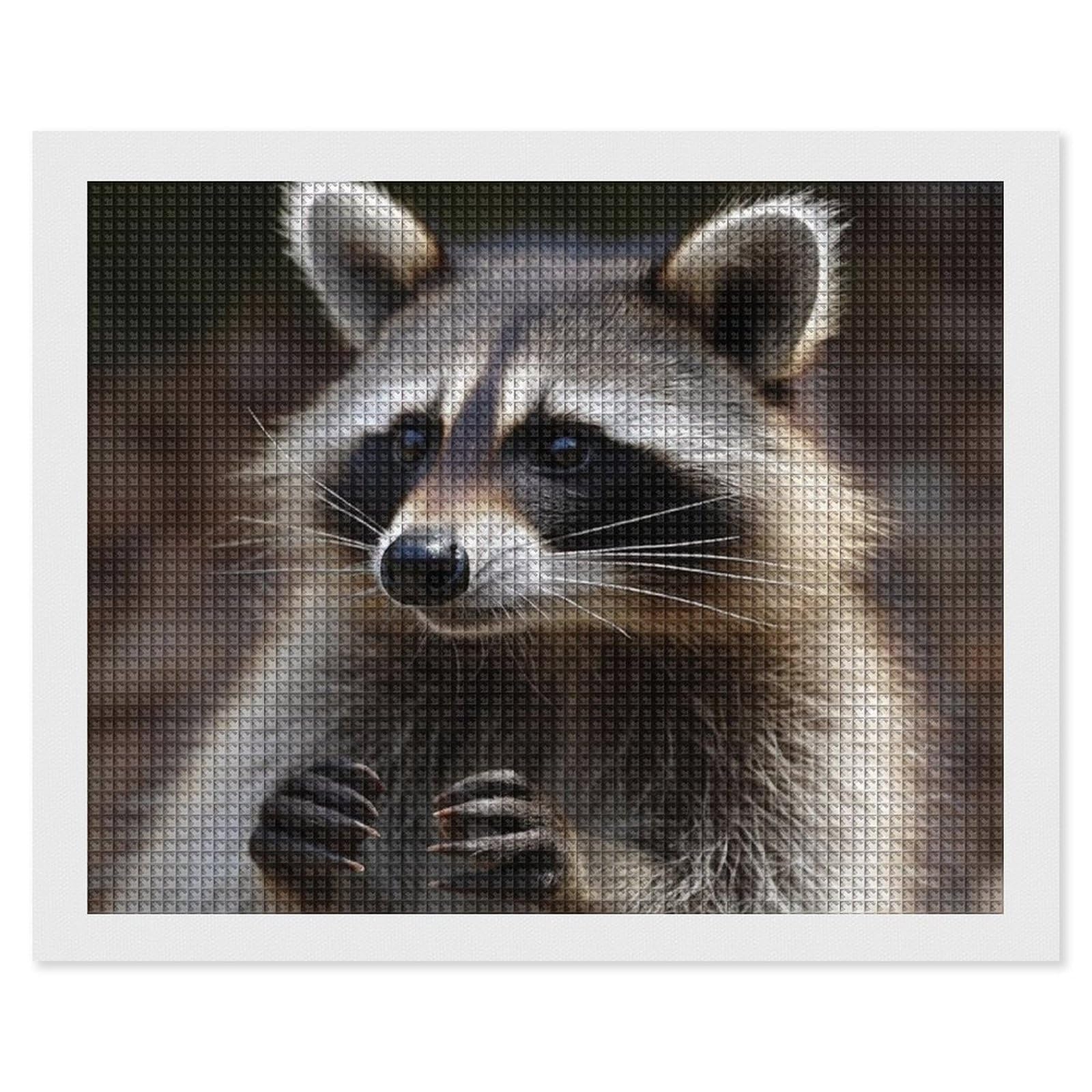 Raccoon Diamond Art Kits for Adults, DIY 5D Diamonds Painting Kits for Beginner, Round Full Drill Diamond Dots Painting, 16"x20" Diamonds Pictures Gem Art and Crafts Wall Decor