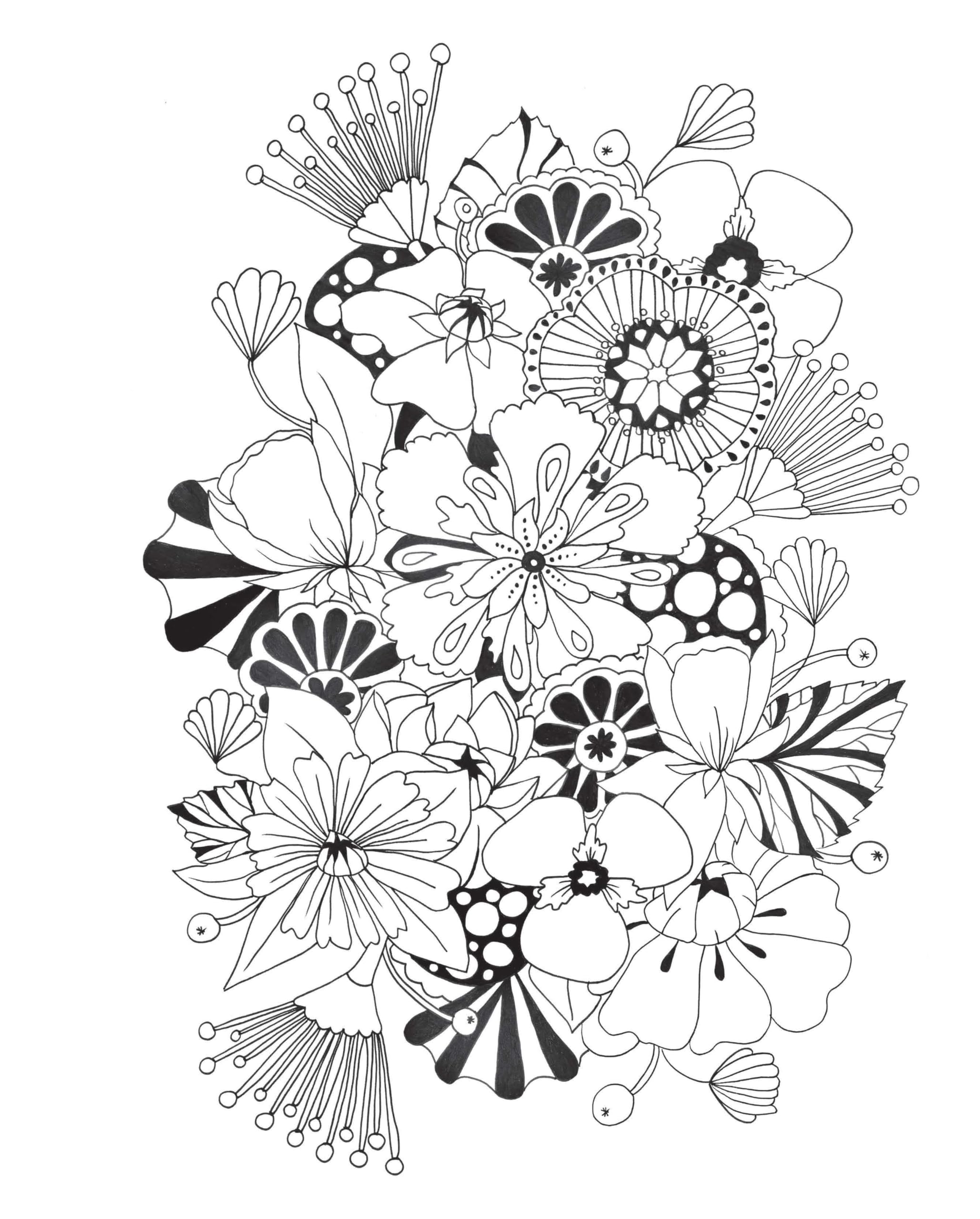 Botanical Wonderland: A Blissful Coloring Retreat (Coloring Wonderland)