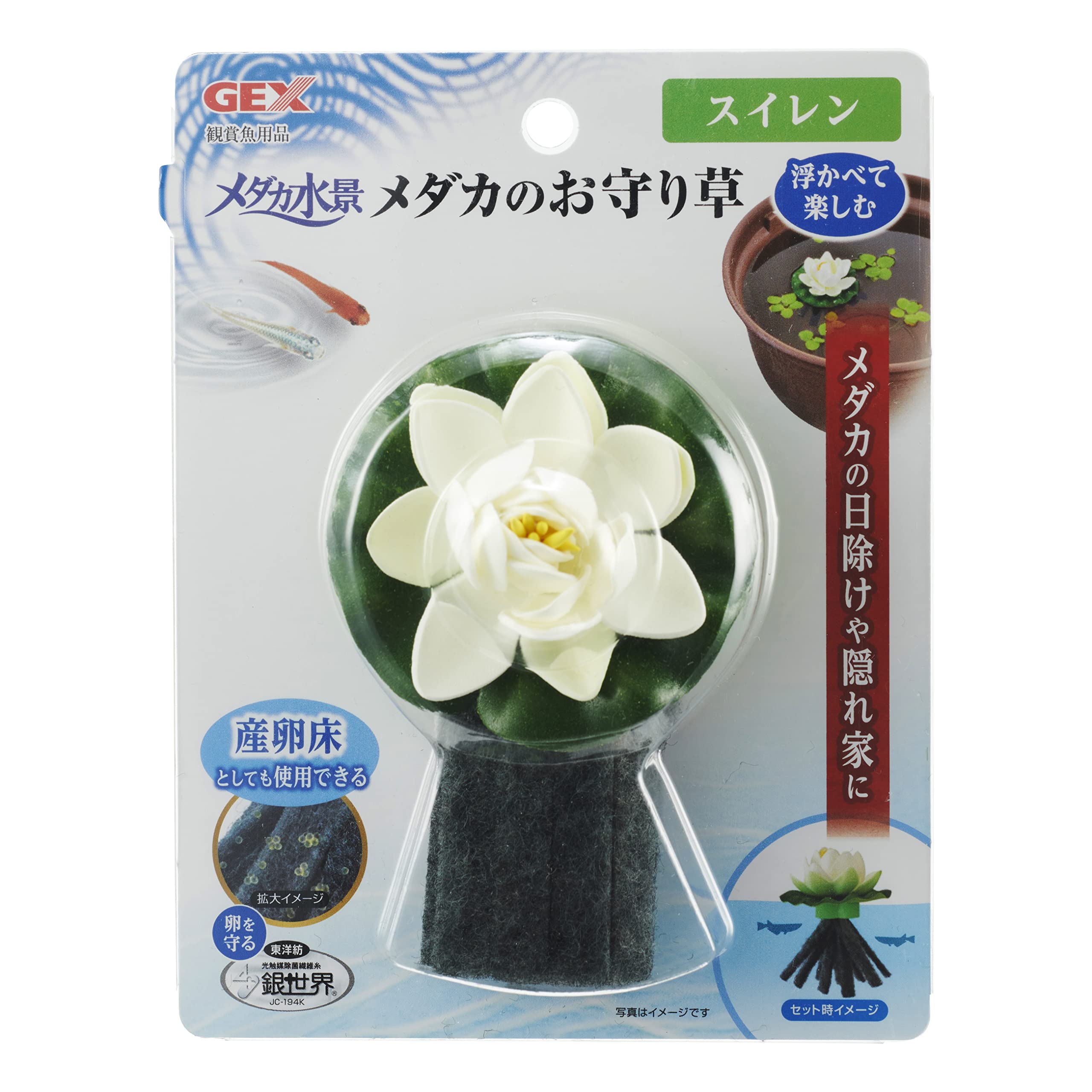 蓮花戯水　カッサ Amazon.co.jp: ジェックス GEX メダカ元気 メダカ水景 メダカの