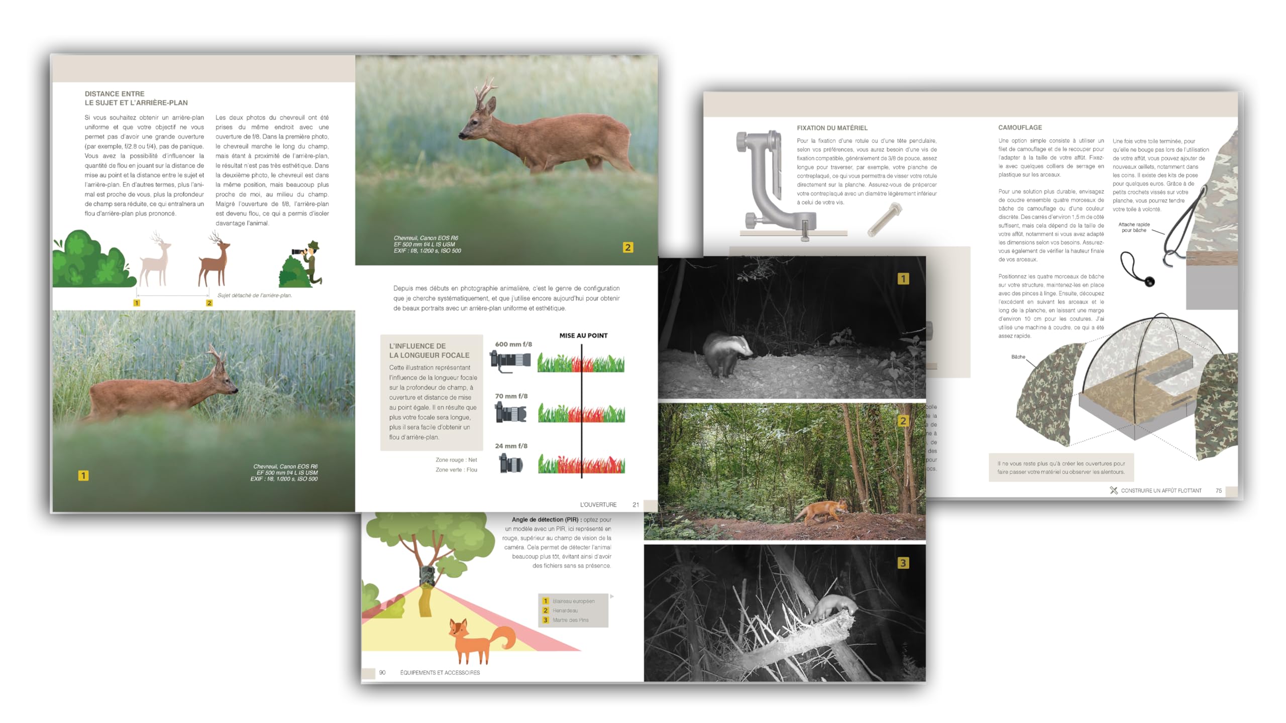 L'art de la photo animalière: Guide technique et astuces