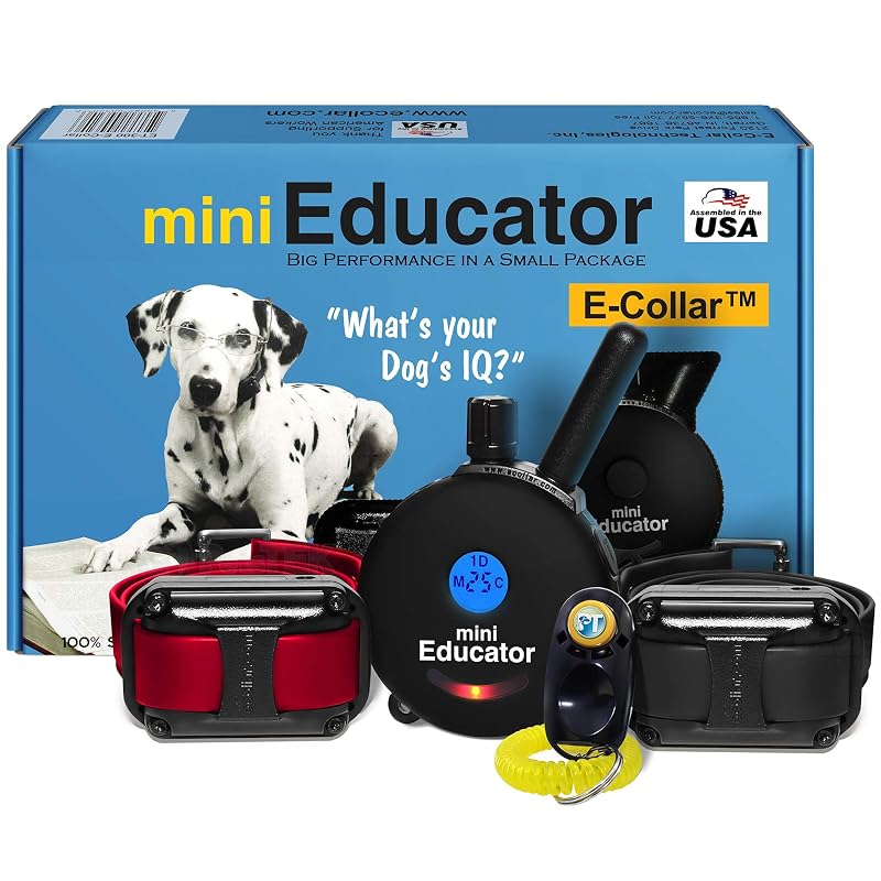 Coleira eletrônica de adestramento para cães Educator ET-302 Black Mini com controle remoto, 100 níveis, vibração, tom e luz noturna para 2 cães