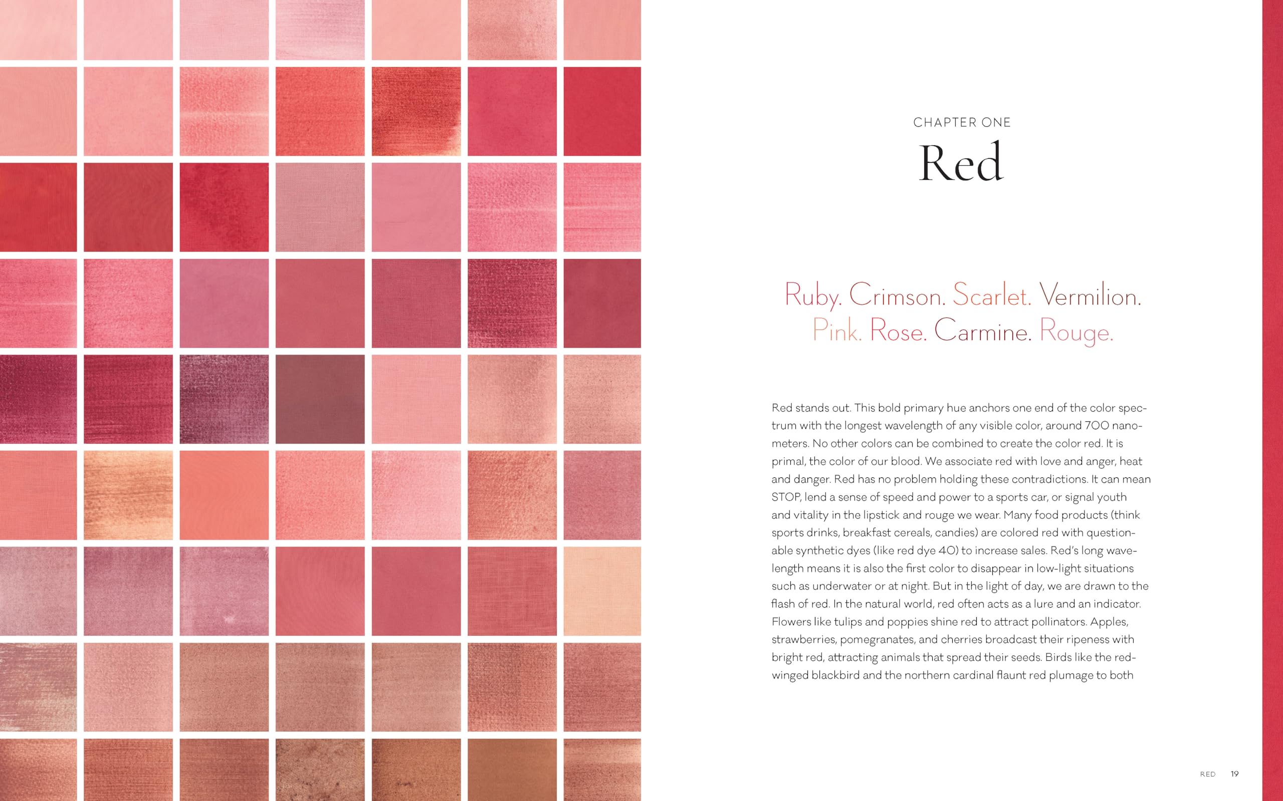 The Mushroom Color Atlas: A Guide to Dyes and Pigments Made from Fungi