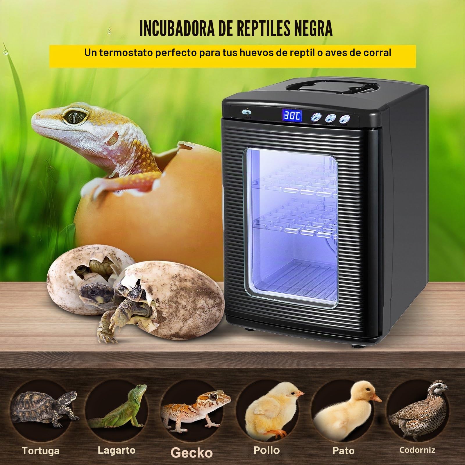 Incubadora de reptiles de 25L, incubadora Digital de huevos, incubadora de laboratorio científico, refriración y calefacción de 5-60 °C, trabajo for reptiles pequeños Para principiantes Bricolaje