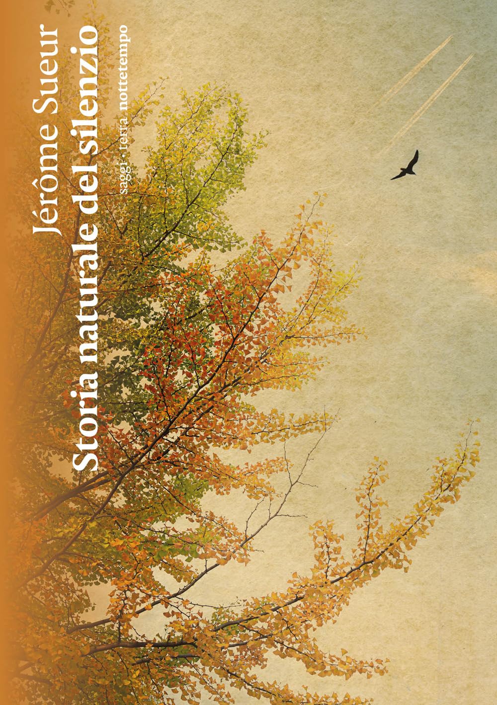 Storia Naturale Del Silenzio - 4