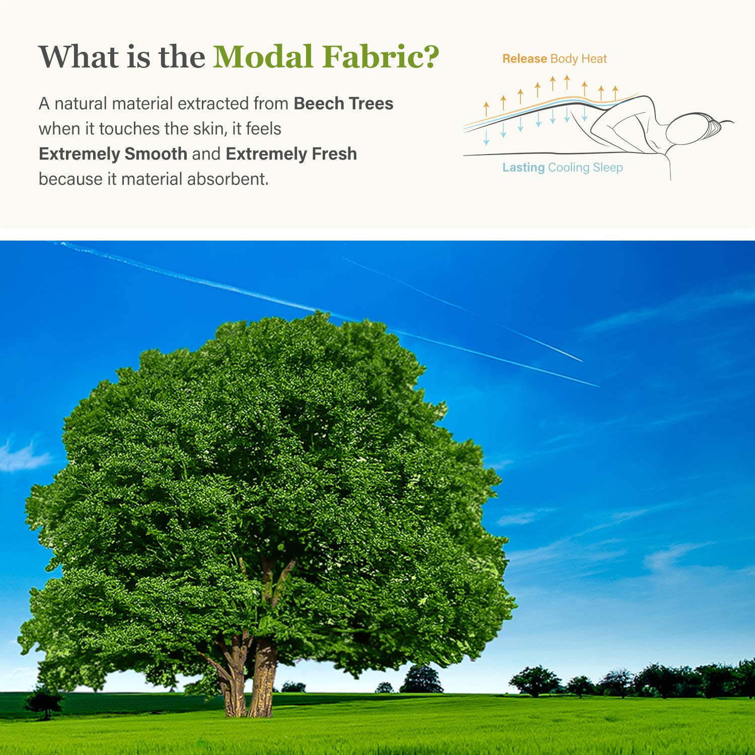 MHD l 韓国モーダルワッフルブランケット 通気性軽量ソフトブランケット 肌に優しいボタニックスモーダルブレンドコットン生地 スカイブルー (62イン並行輸入品 MHD l 韓国モーダルワッフルブランケット 通気性軽量ソフトブランケット 肌に優しいボタニックスモーダルブレンドコットン生地 L グレー  (82インチ x 90インチ) 韓国製