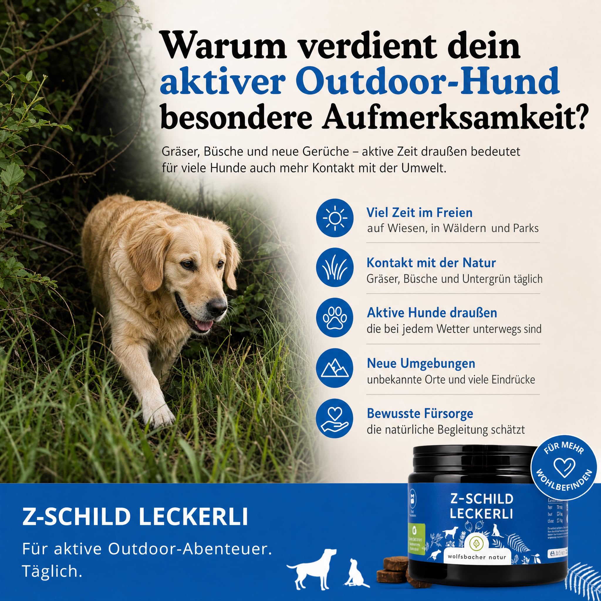 Z-Schild Snack für Hunde - Funktionssnacks für aktive Hunde | Z-Schild Leckerli 4 x | Mit Schwarzkümmelöl und Kokosöl für Schutz und Sicherheit