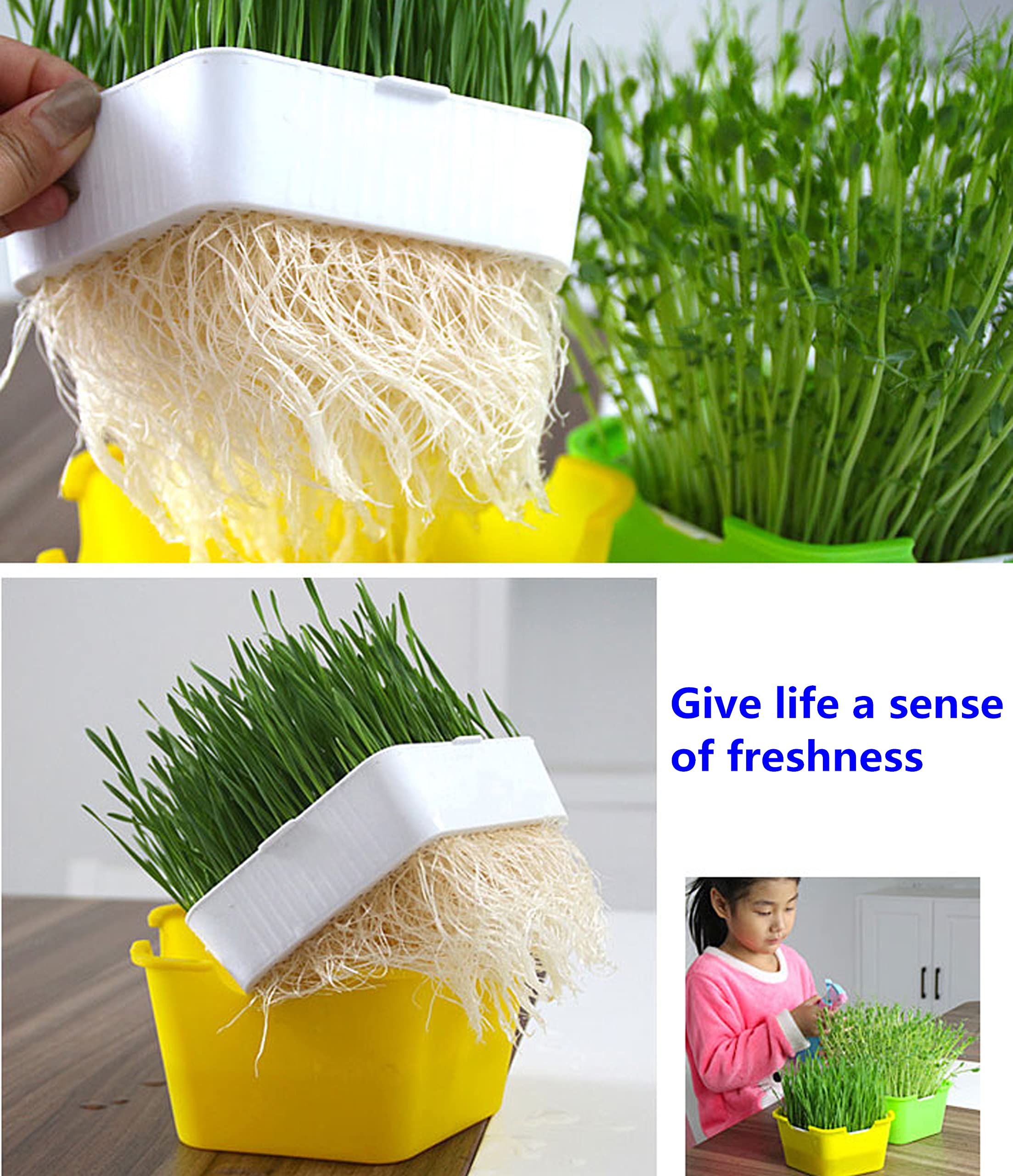 Plateau De Démarrage Pour Semis, Kit De Germination De Plantes De Jardin, Plateau De Démarrage De Semences, Kit D'outils à Main, Dôme Et Base Pour Serre, Plateaux De Germination De Plantes De