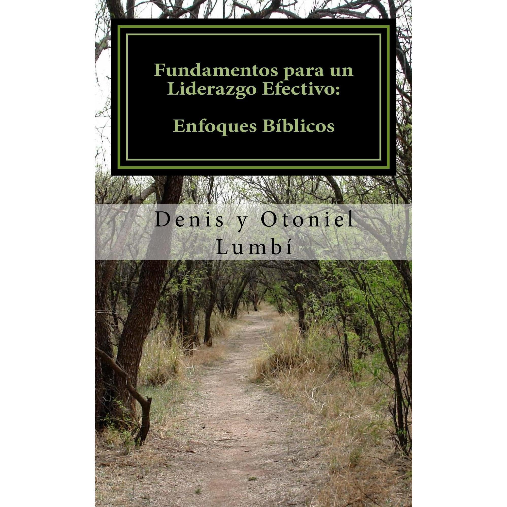 Fundamentos para un Liderazgo Efectivo: Enfoques Bíblicos
