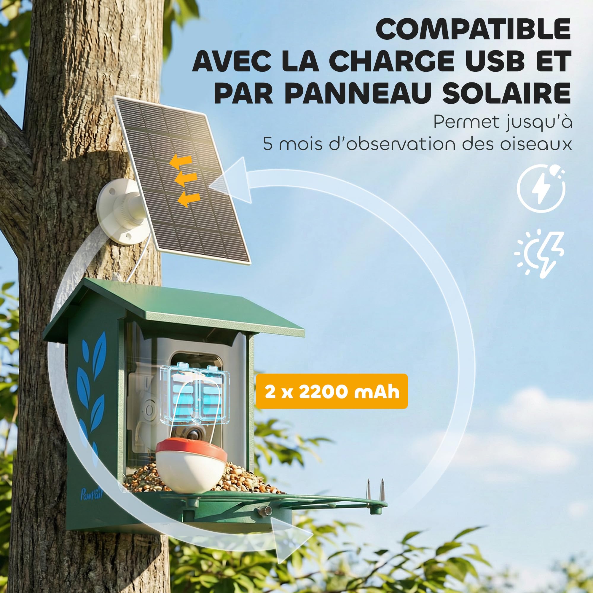 PawHut Comedero para pájaros con cámara inteligente 2K 142° - carcasa de acero antiardillas, panel solar - comedero para pájaros exterior, identificación IA 16000+, aplicación, SD 32 GB, jardín, verde | Anti-ardilla, Panel Solar, Comedero Aves Exterior, I