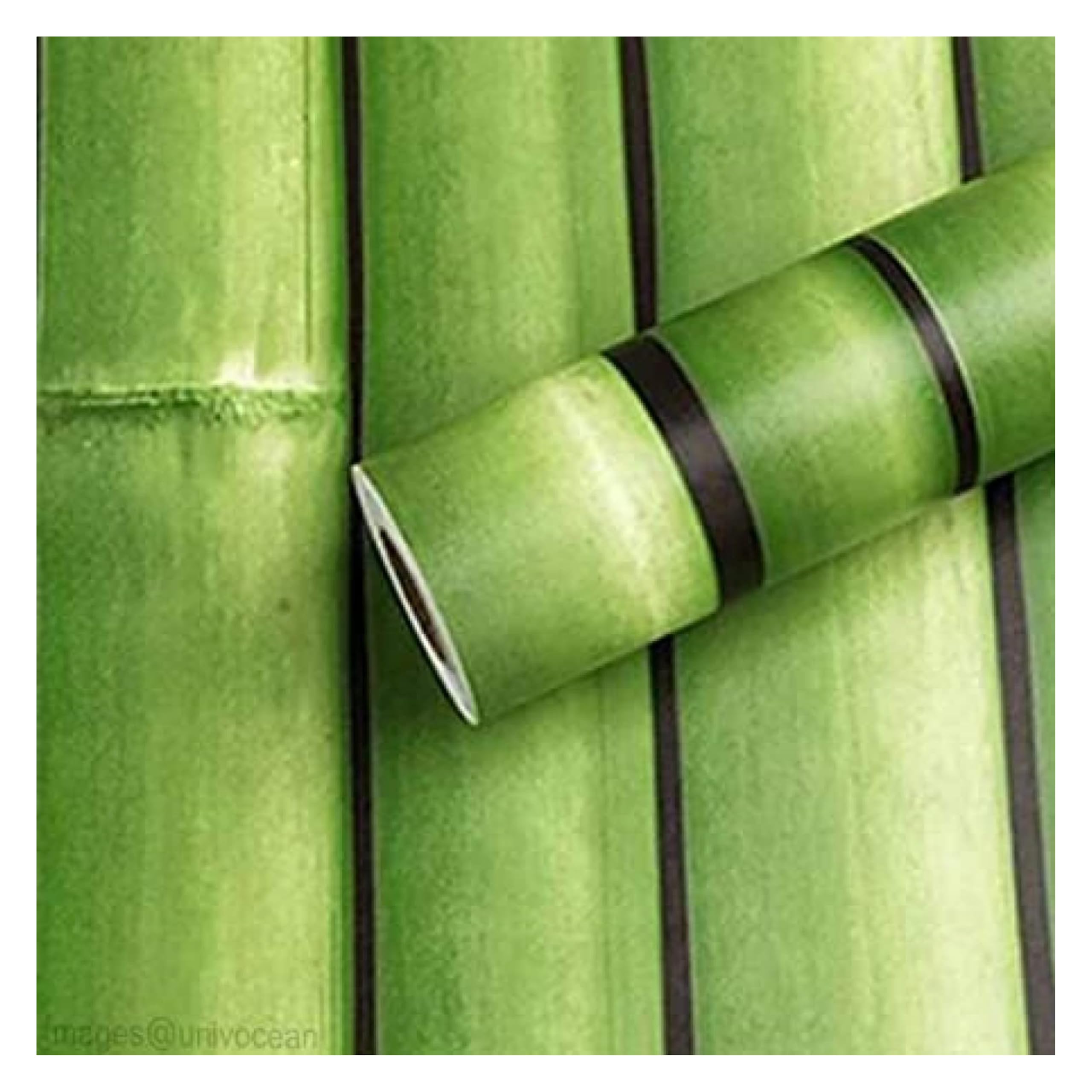 See full amazon price history chart for JAAMSO ROYALS Green Bamboo Wallpaper for Walls, Wallpaper, Wall Paper for Wall Decor, Wall Paper, Wall Stickers for Kitchen (200CM x 45CM) JAAMSO ROYALS Green Bamboo Wallpaper for Walls, Wallpaper, Wall Paper for Wall Decor, Wall Paper, Wall Stickers for Kitchen (200CM x 45CM) (B084PCCRKP) Amazon Price History, Amazon Price Tracker