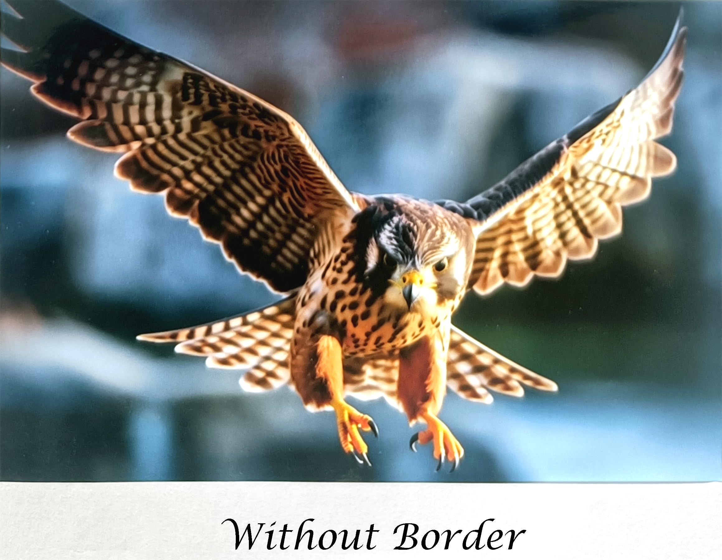 Eco Digital Resin Coated Water Resistant 265 GSM High Resolution Inkjet Photo Paper, 4x6 inches, Glossy Finish 4