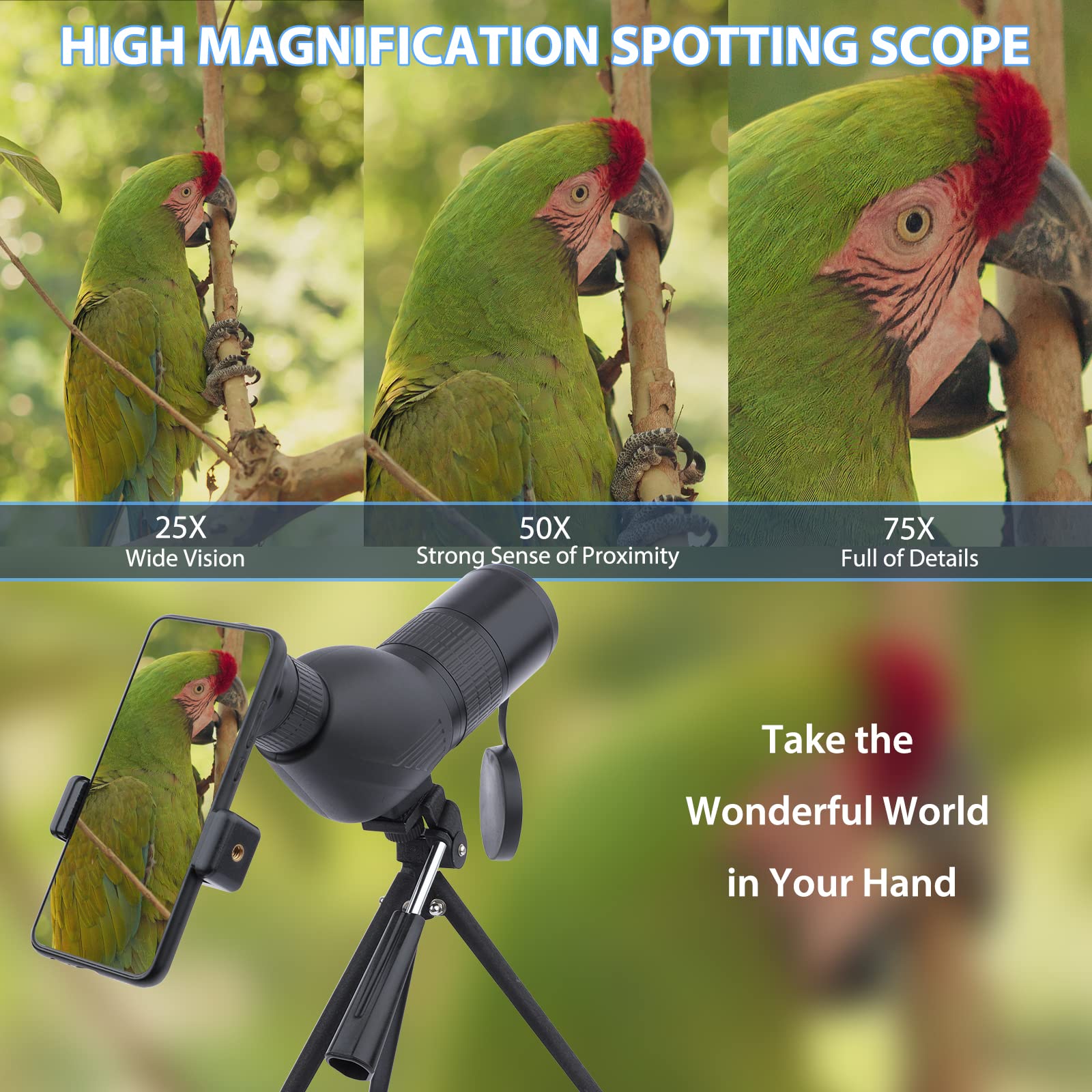 Telescopio Terrestre 12-36x50 HD con Trípode, Bolsa de Transporte y Adaptador de Teléfono Inteligente para Observación de Aves, Observación de Estrellas, Tiro con Arco, Paisaje de Vida Silvestre