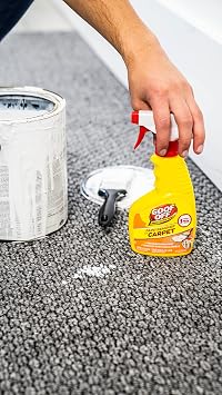 Goof Off FG910 Paint Remover Carpet Cleaner Solution , 12 oz. Spray