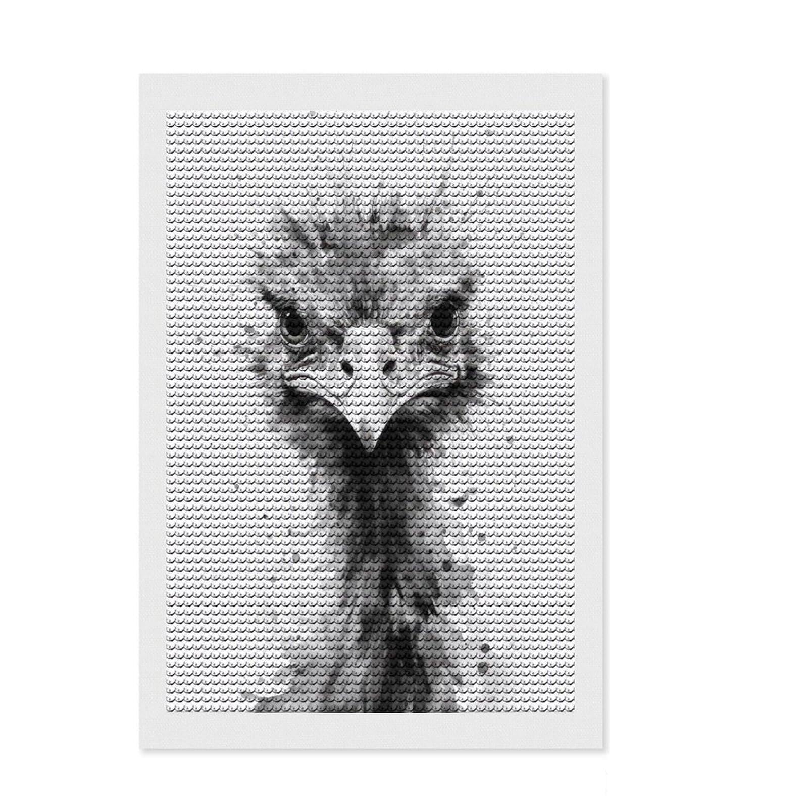 Junmoney Ostrich Beauty Watercolor DIY Diamond Art Canvas Kit 8"x12", Fun Craft Experience, Good for Quiet Evenings, Cosy Home Accent, Gift Idea