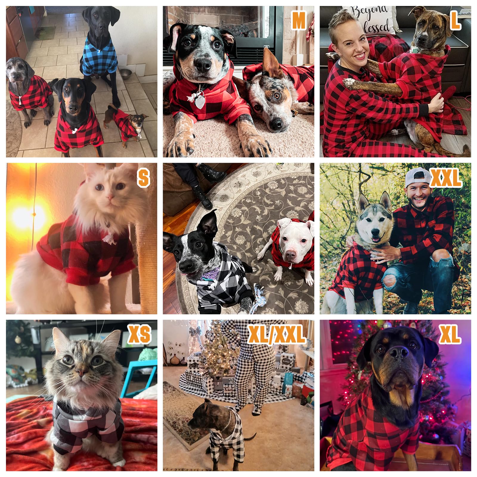 KOOLTAIL - Sudadera con Capucha para Perros de tamaño pequeño a Mediano