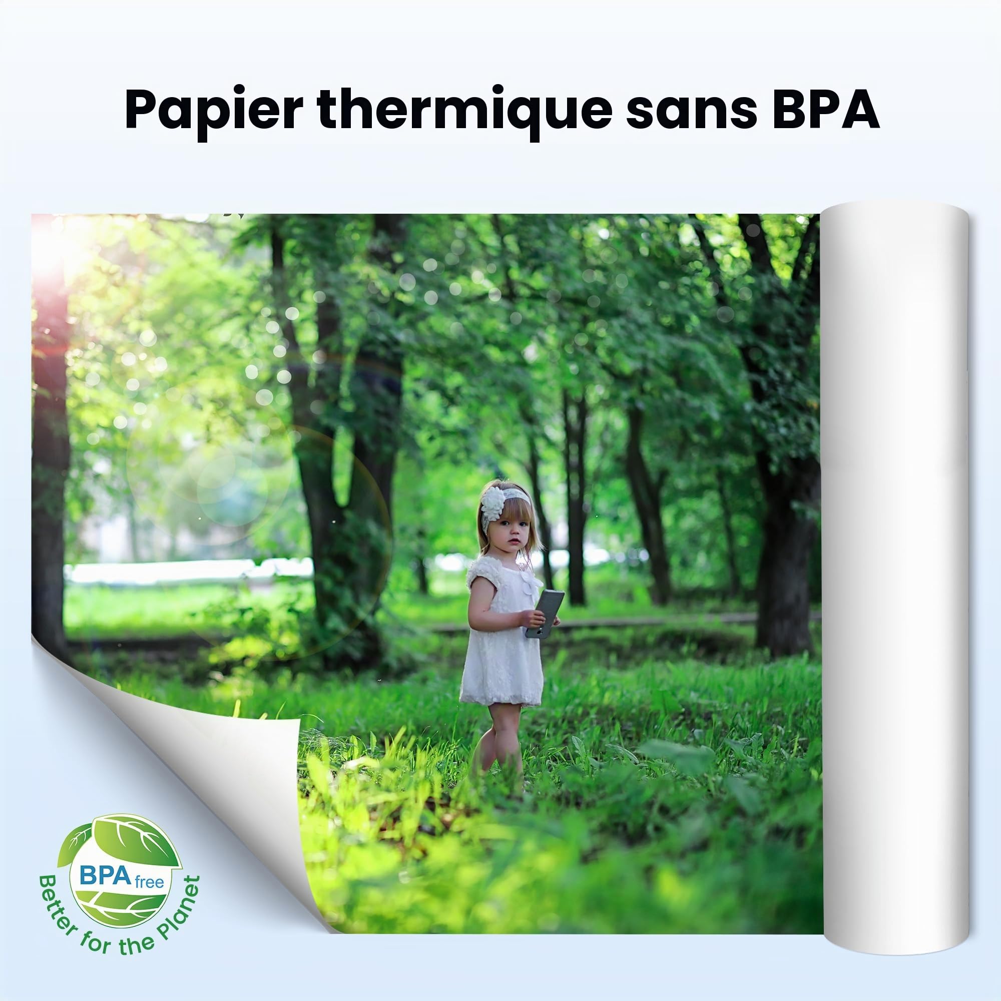 Phomemo Papier Thermique A4 2 Rouleaux 210x297 mm Compatible M832/M834/M833